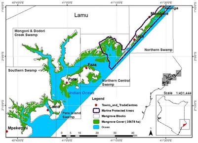 Total Ecosystem Carbon Stocks of Mangroves in Lamu, Kenya; and Their Potential Contributions to the Climate Change Agenda in the Country